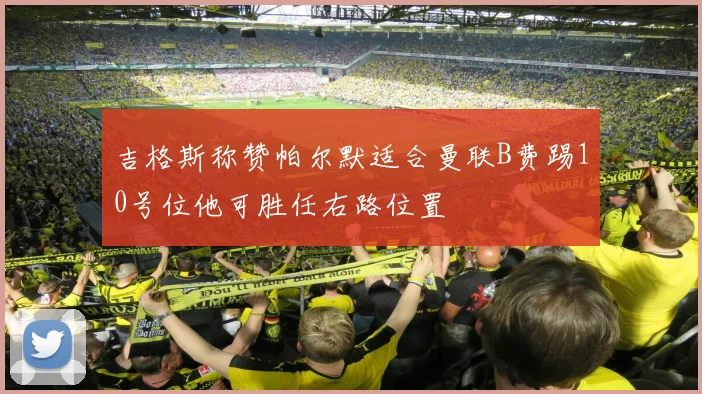 吉格斯称赞帕尔默适合曼联B费踢10号位他可胜任右路位置