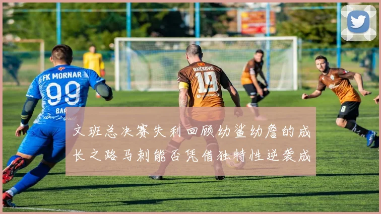 文班总决赛失利回顾幼鲨幼詹的成长之路马刺能否凭借独特性逆袭成功