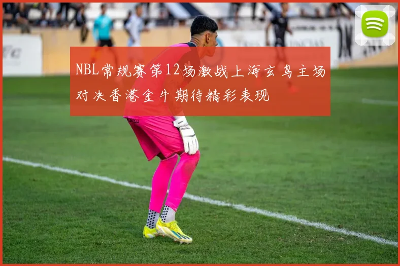 NBL常规赛第12场激战上海玄鸟主场对决香港金牛期待精彩表现