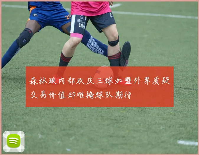 森林狼内部欢庆三球加盟外界质疑交易价值却难掩球队期待