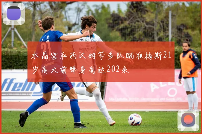 水晶宫和西汉姆等多队瞄准梅斯21岁高大前锋身高达202米